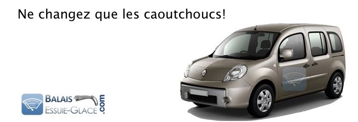 Renault Kangoo depuis 2008